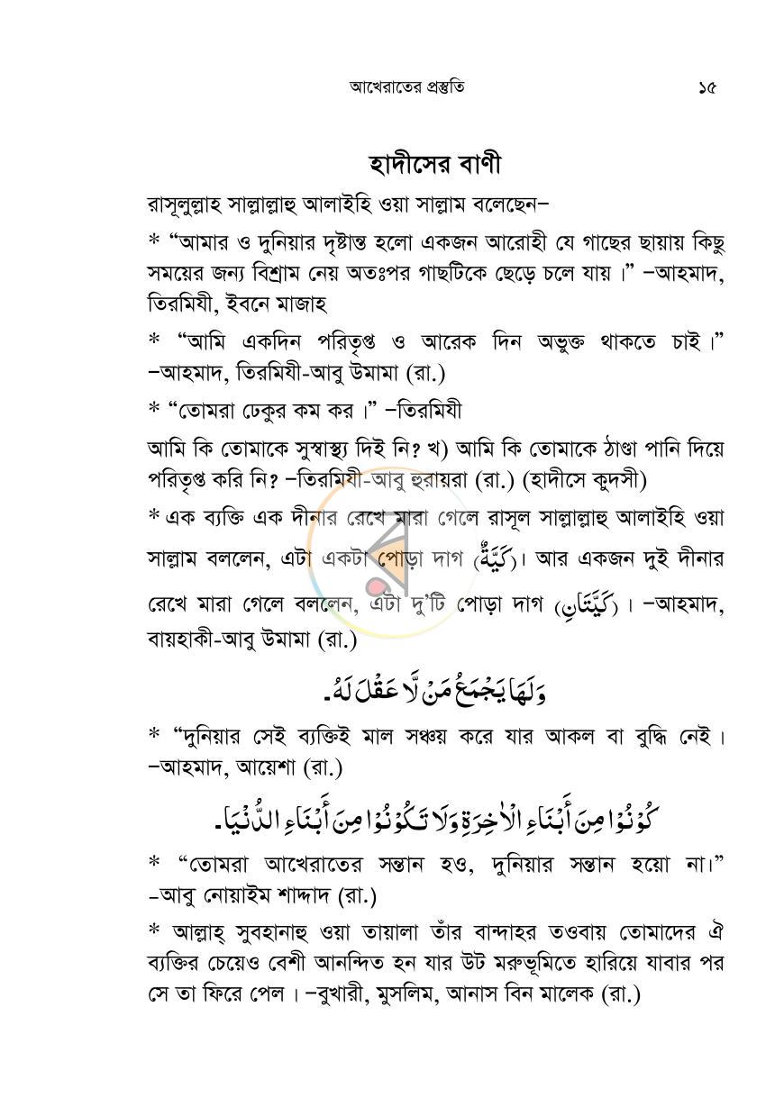 পাতা 13