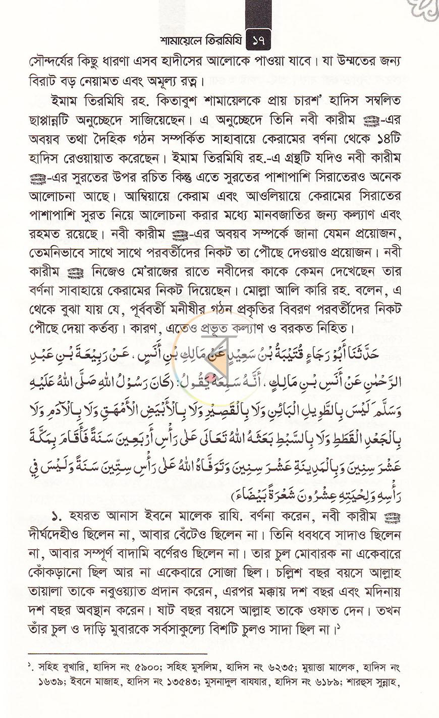 পাতা 11