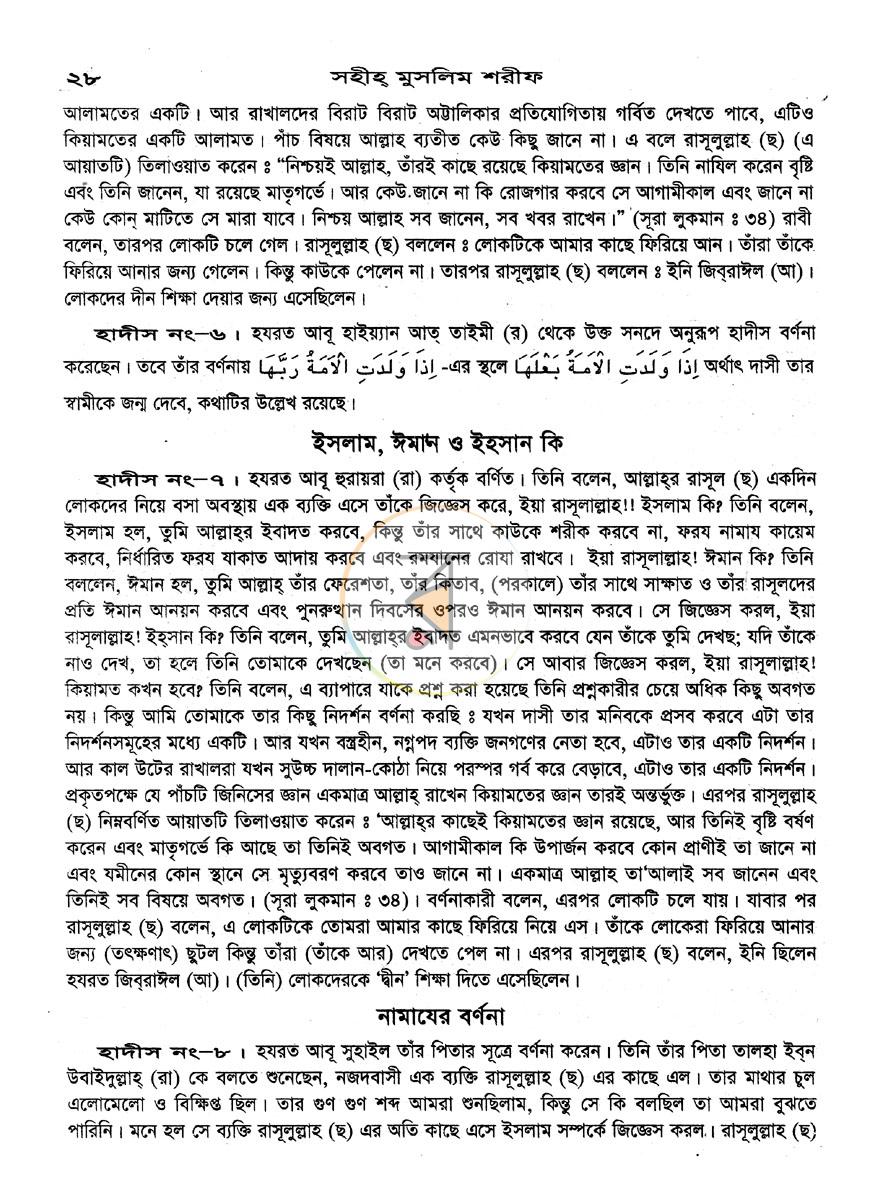 পাতা 12