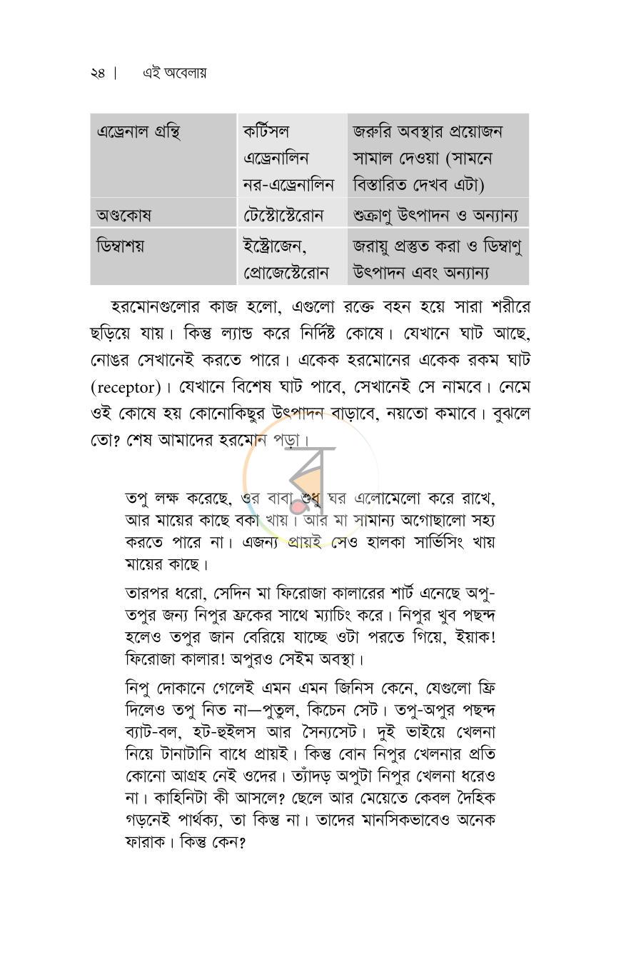 পাতা 11