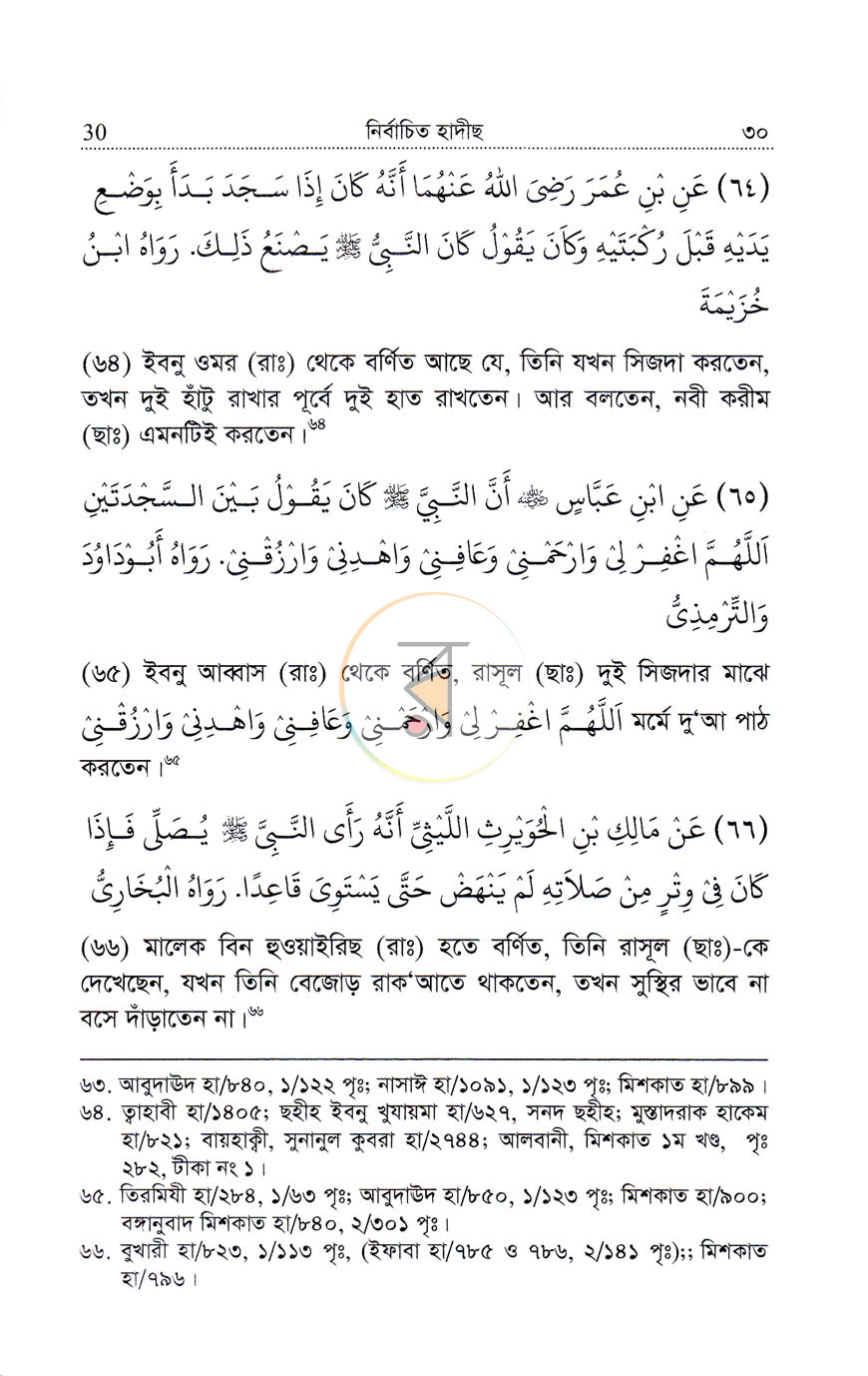পাতা 8