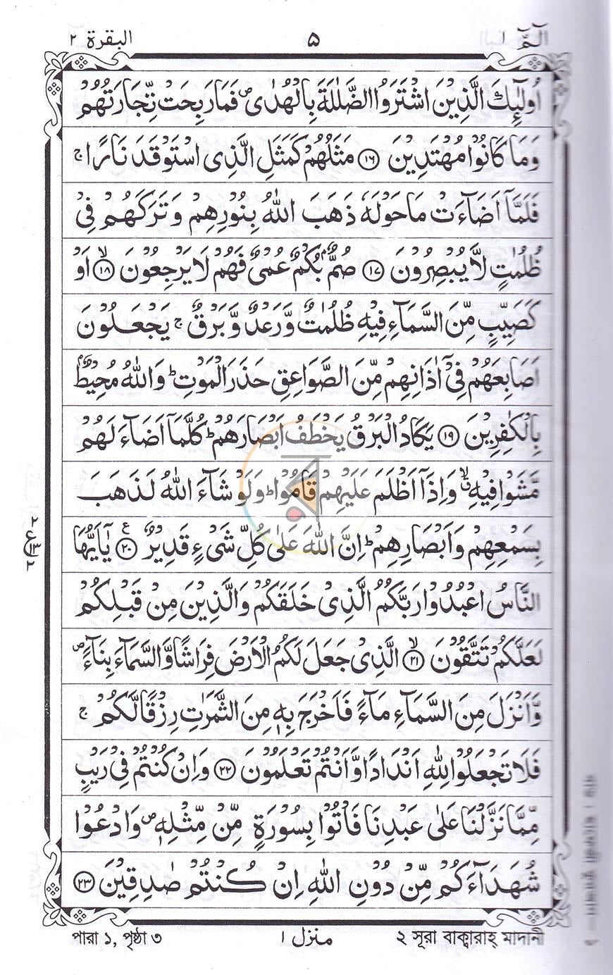 পাতা 8