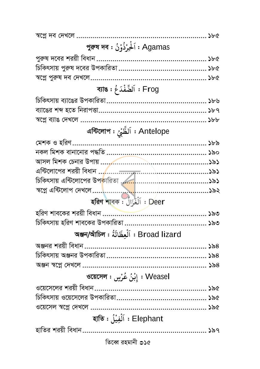 পাতা 11