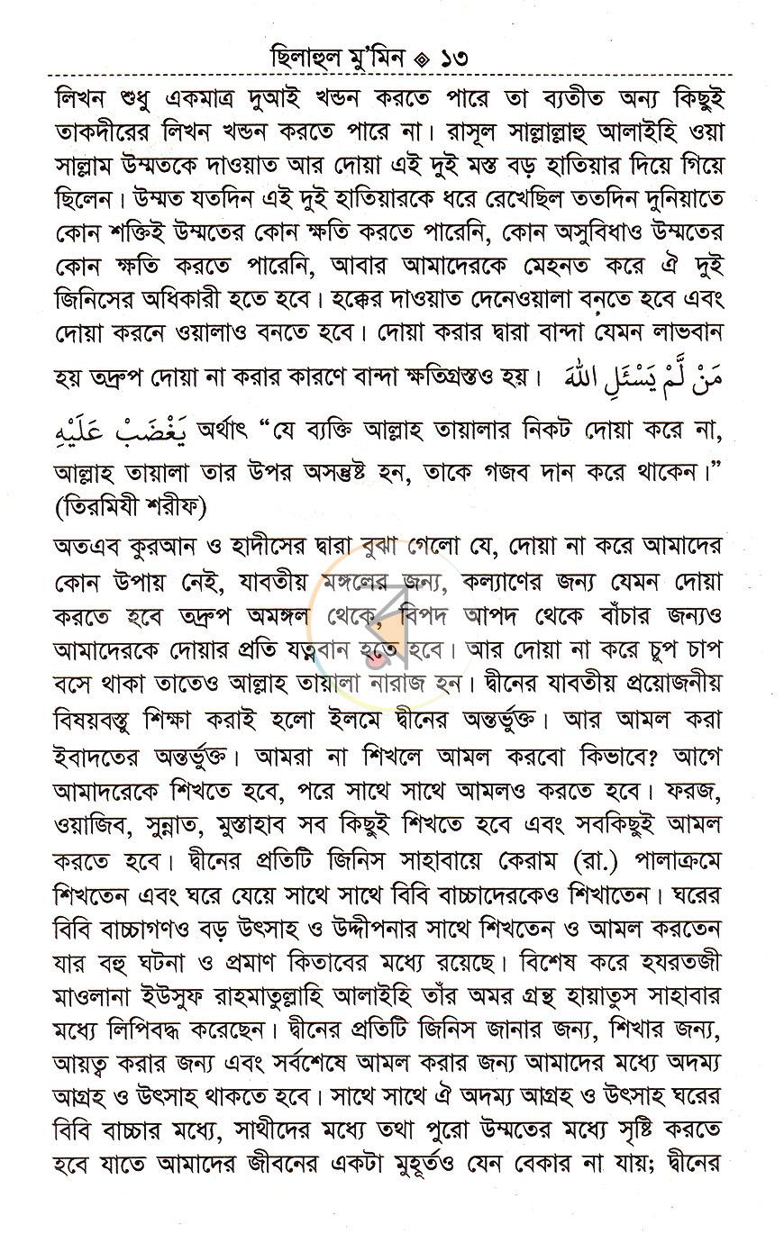 পাতা 11