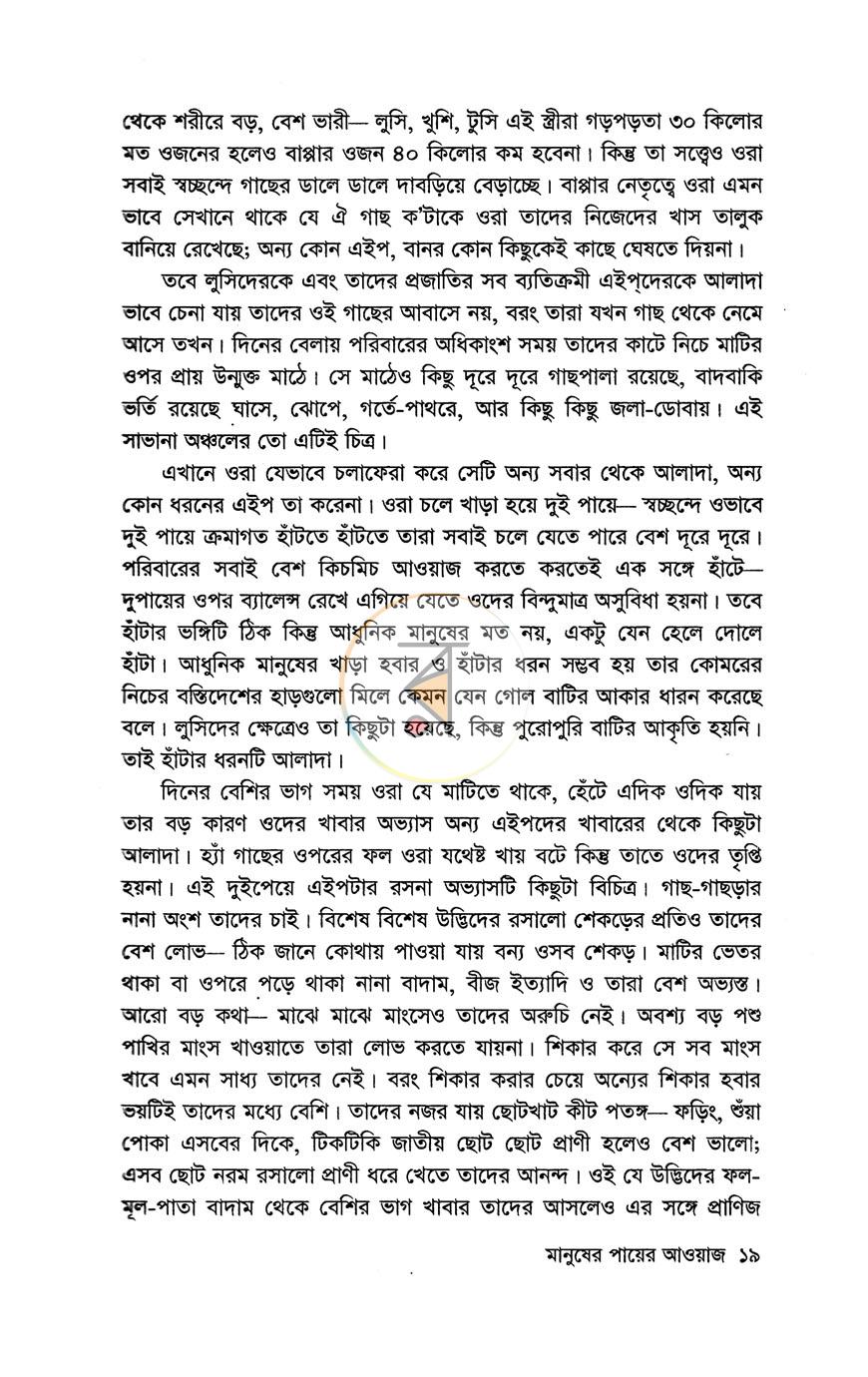 পাতা 13