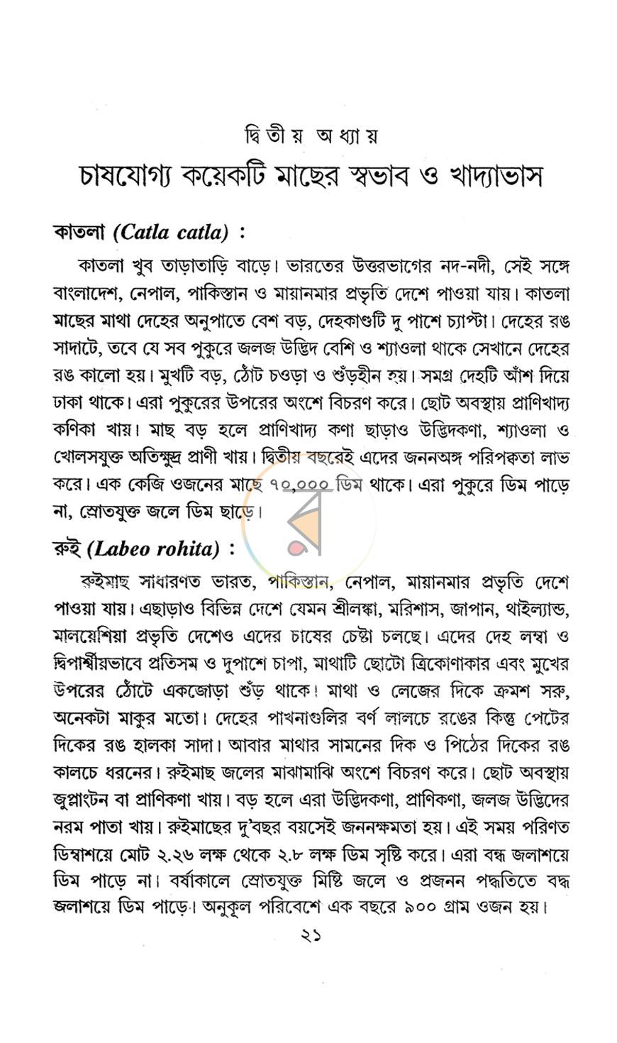 পাতা 11