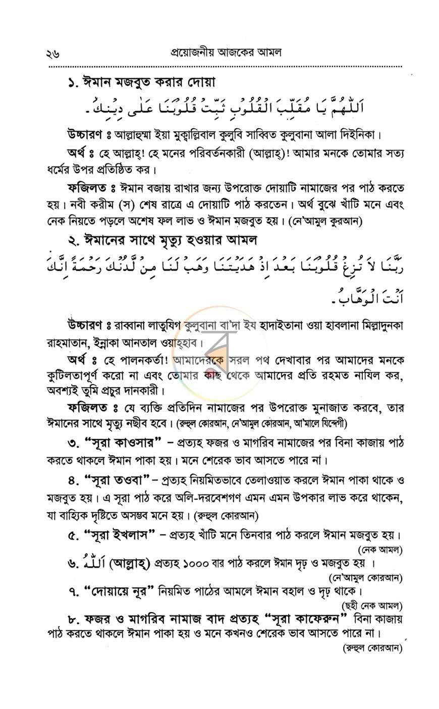 পাতা 12