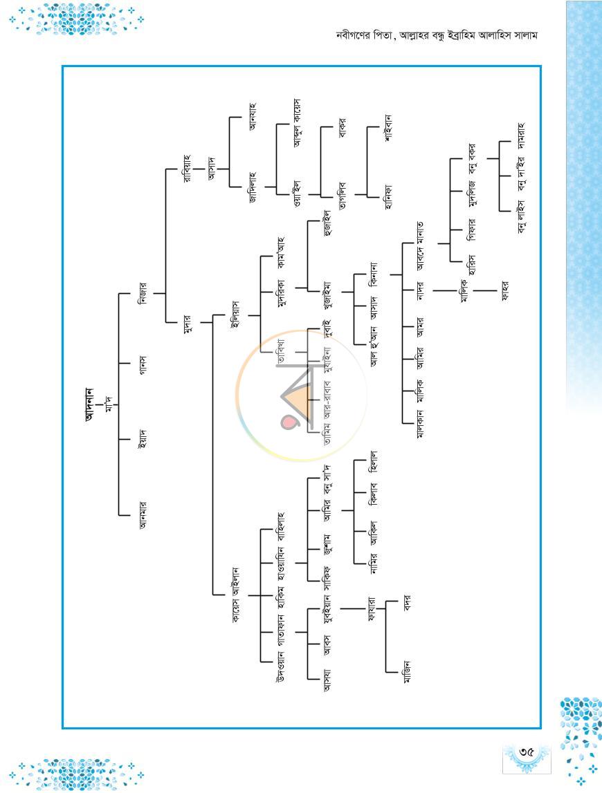 পাতা 11