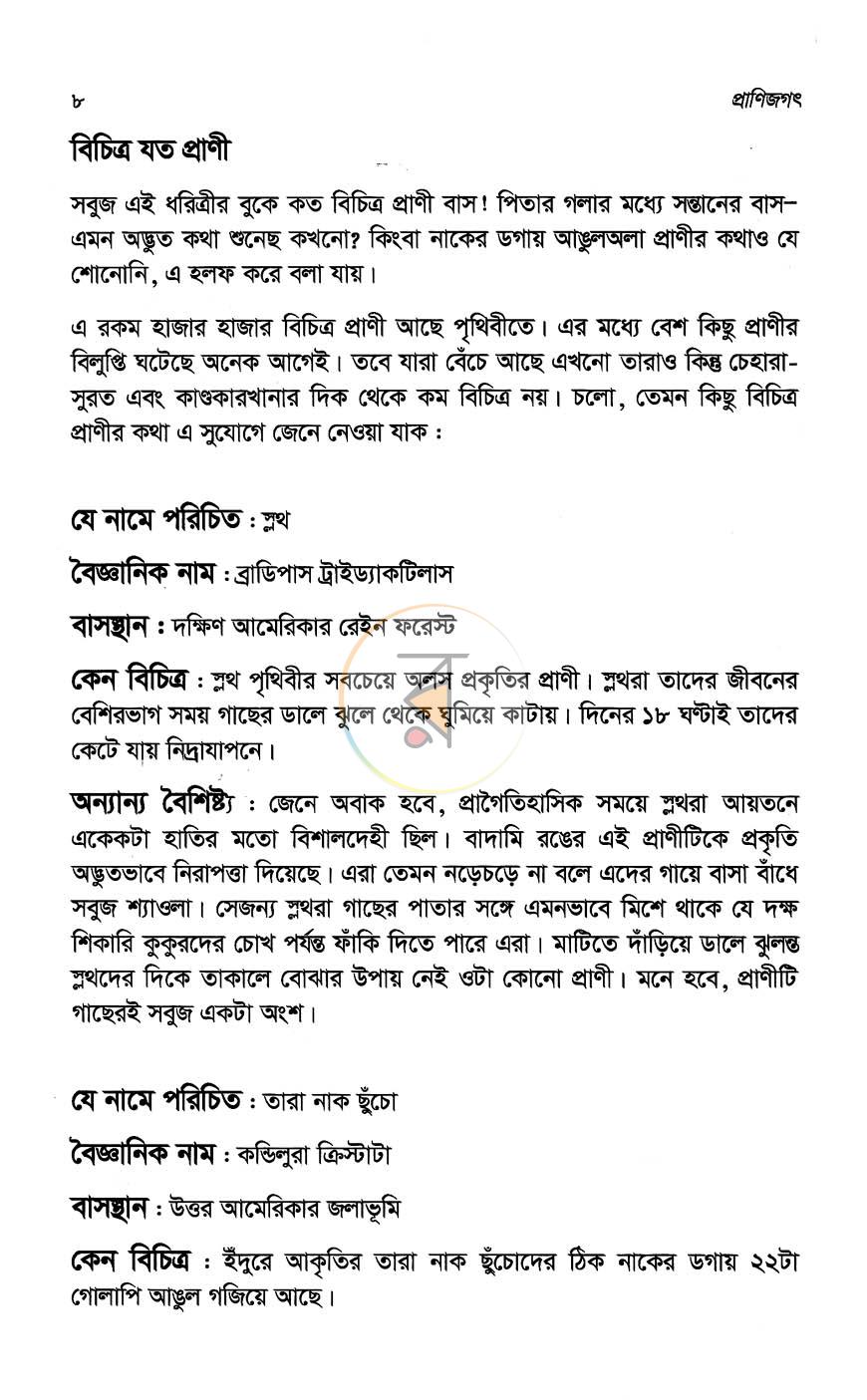 পাতা 13