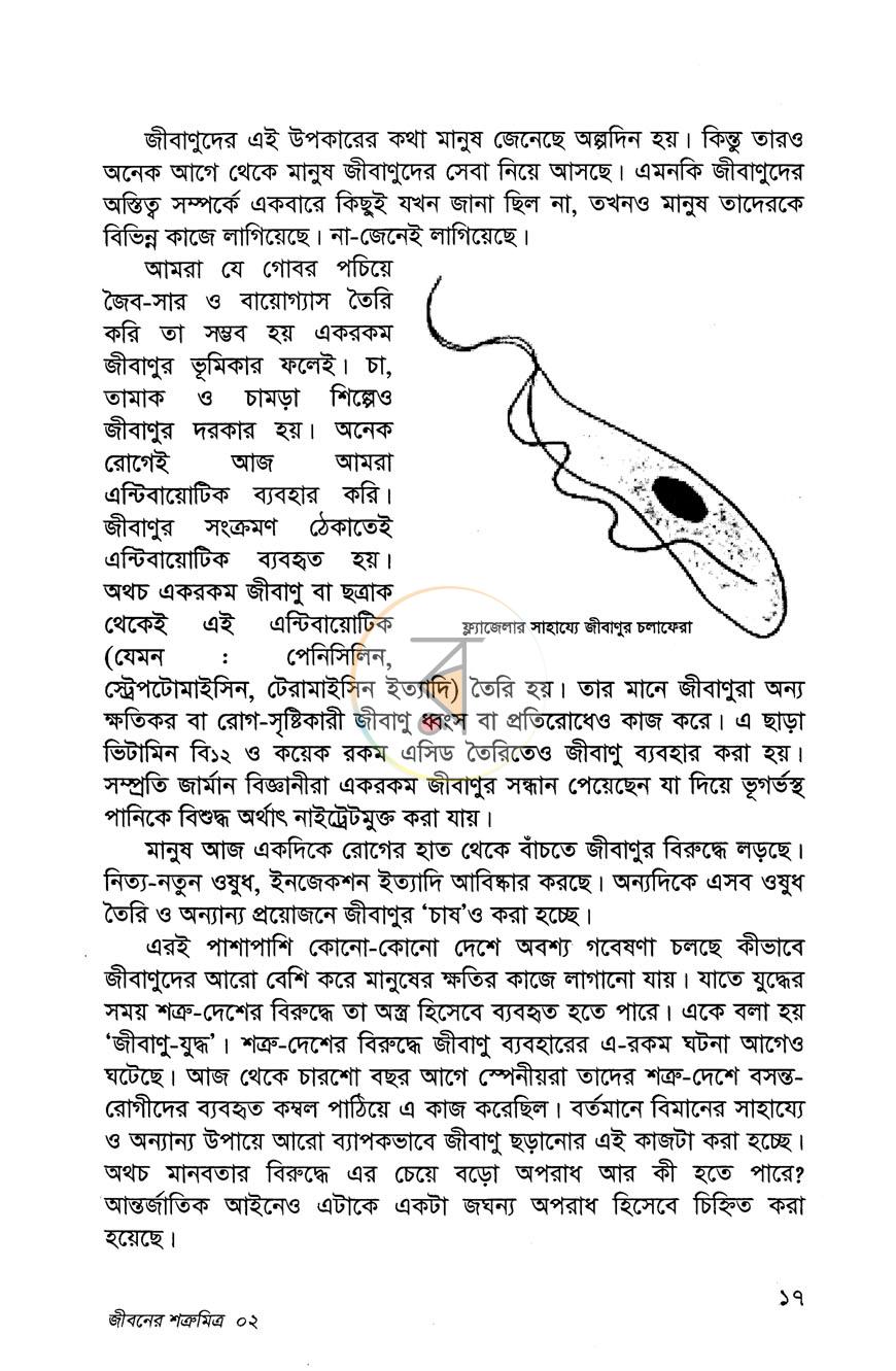 পাতা 11