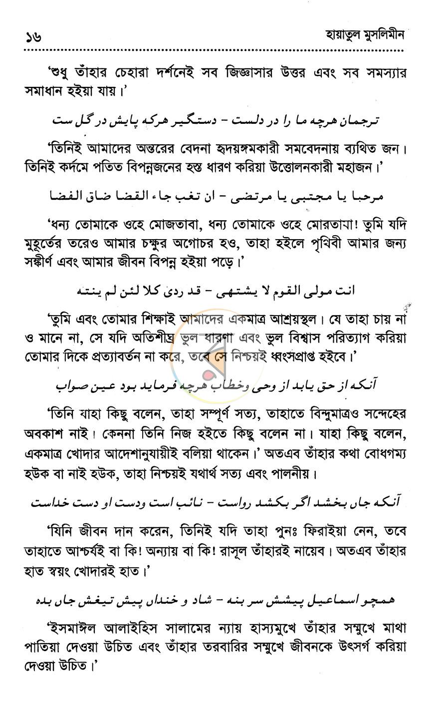 পাতা 11