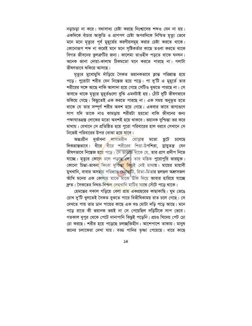 পাতা 11