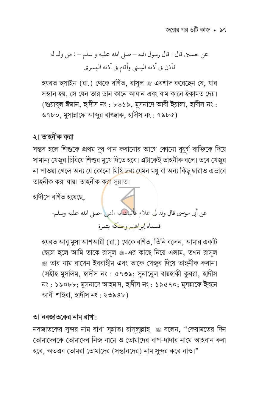 পাতা 13