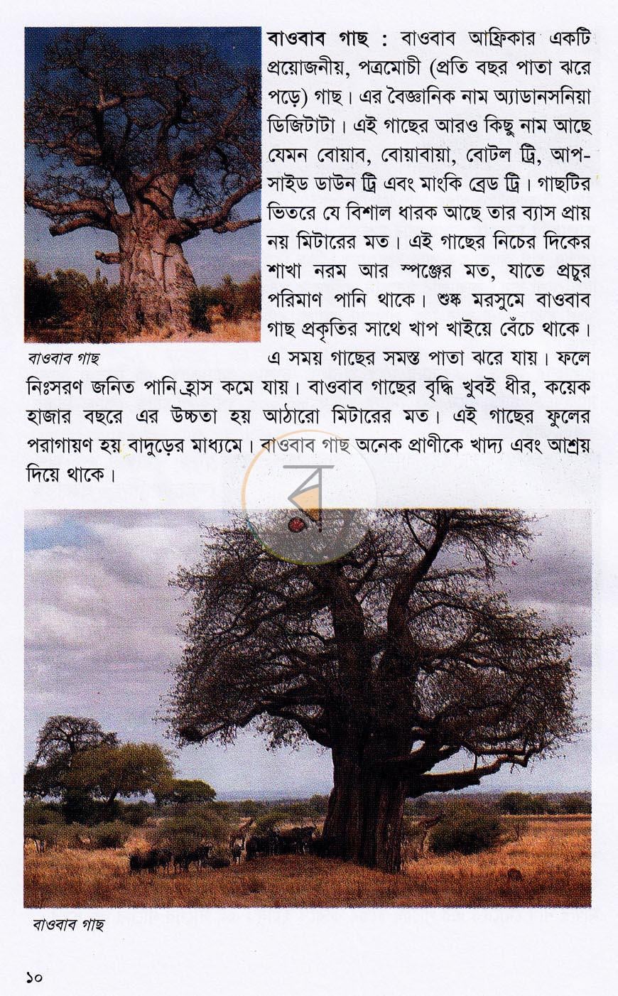 পাতা 6