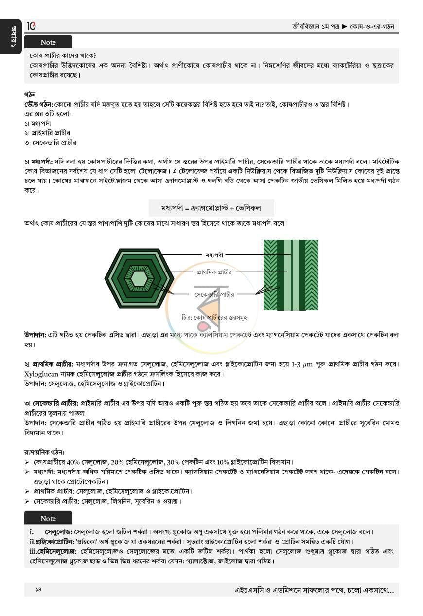 পাতা 10