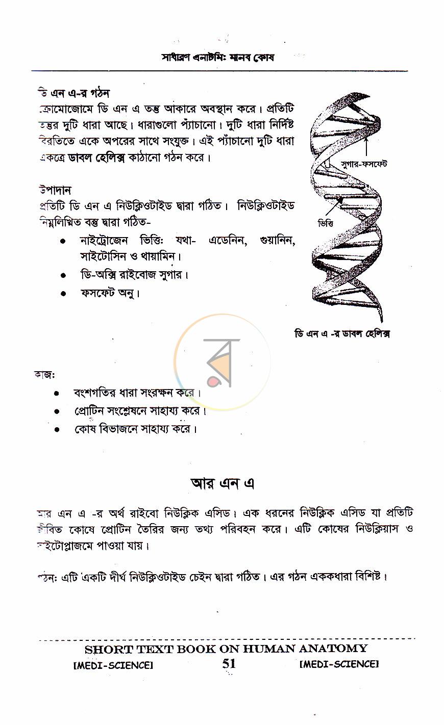 পাতা 17