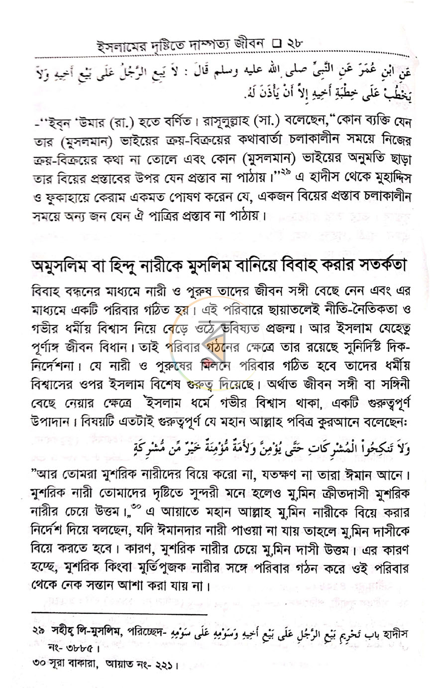 পাতা 13