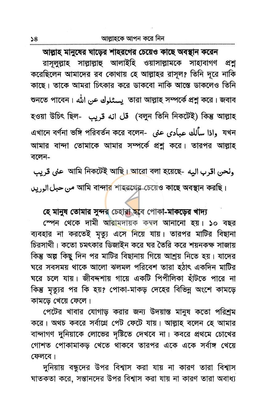 পাতা 11