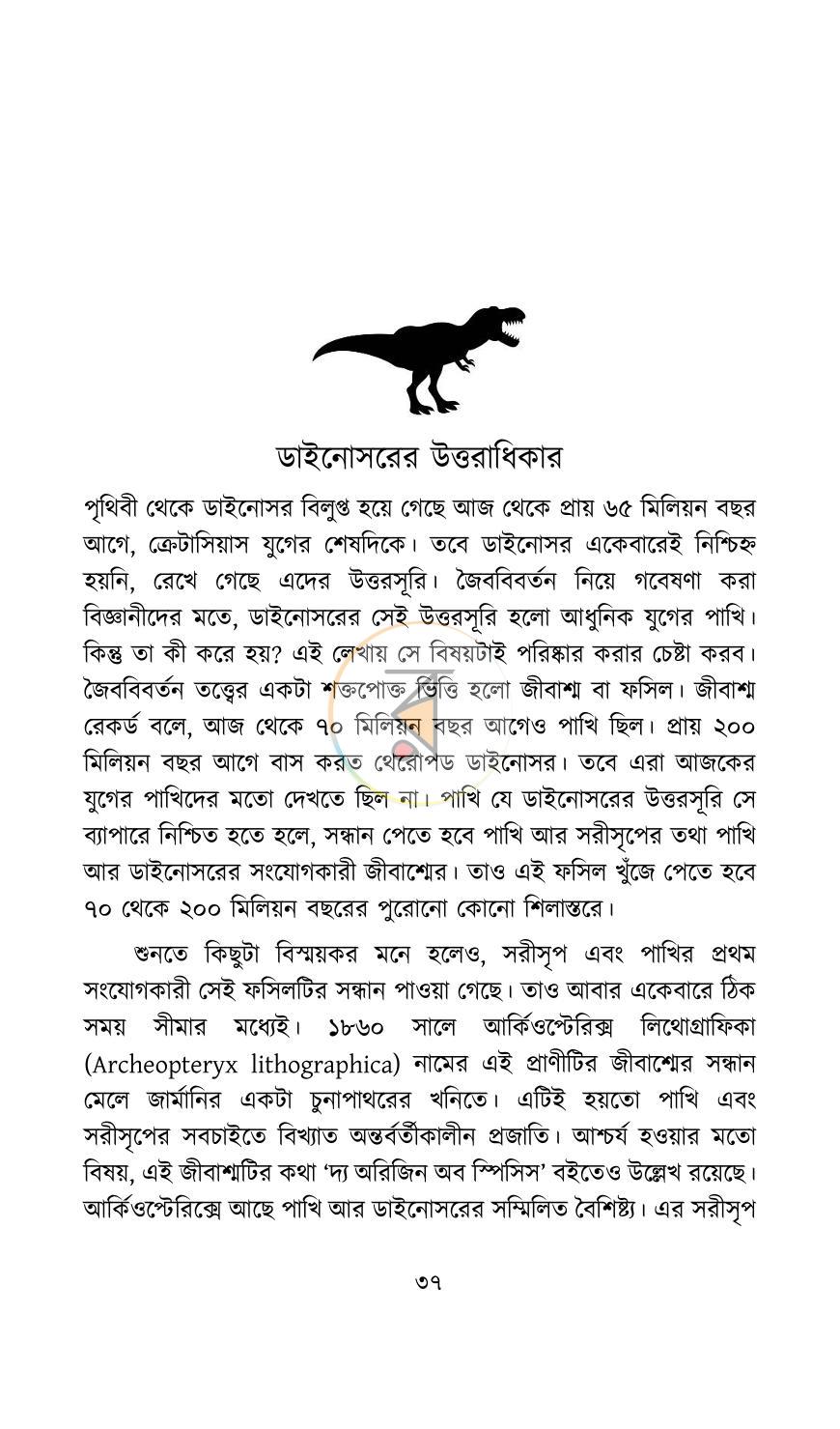 পাতা 11