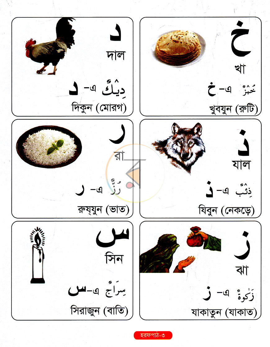 পাতা 3