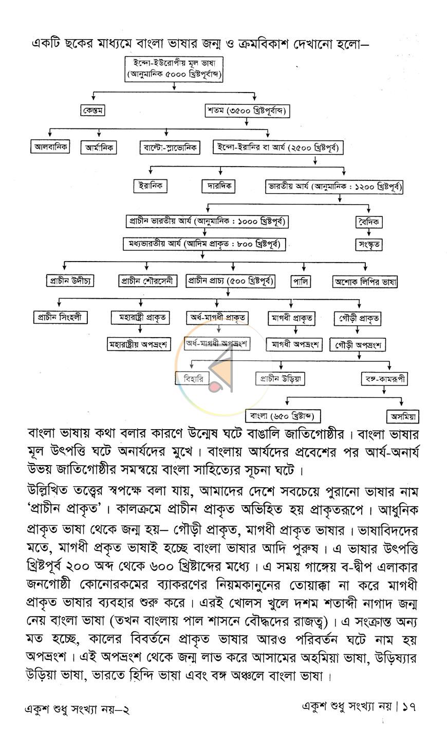 পাতা 11