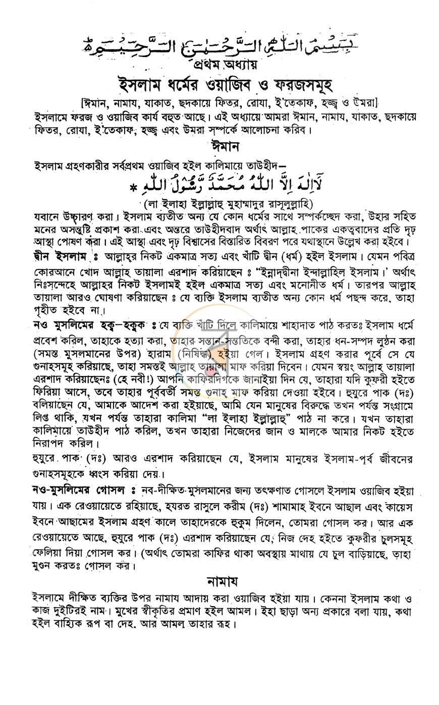 পাতা 10