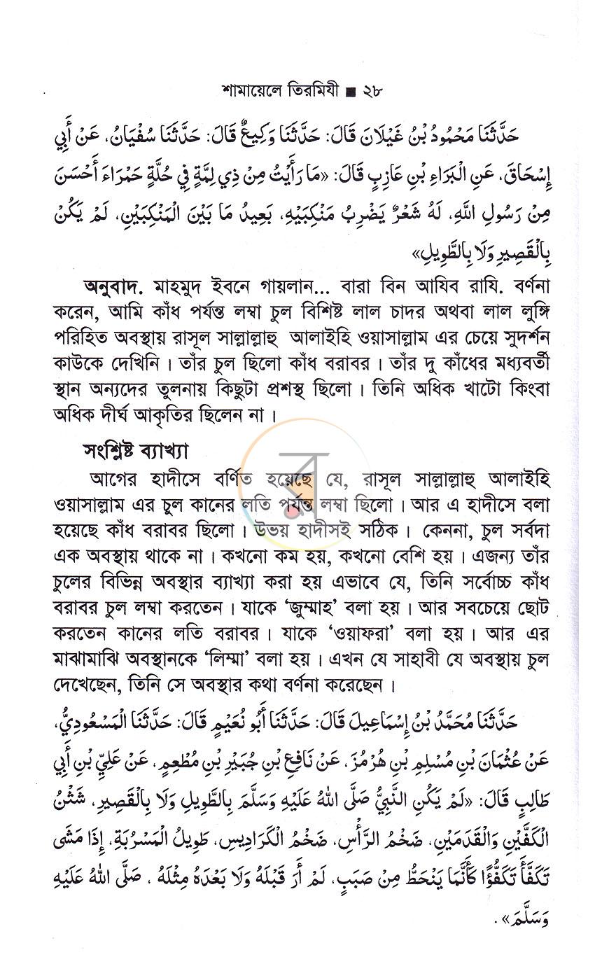 পাতা 12