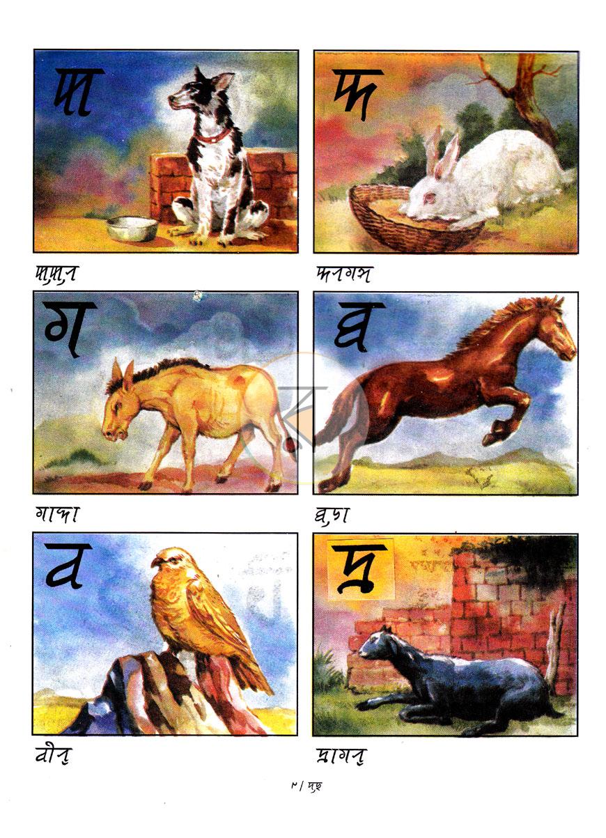 পাতা 5