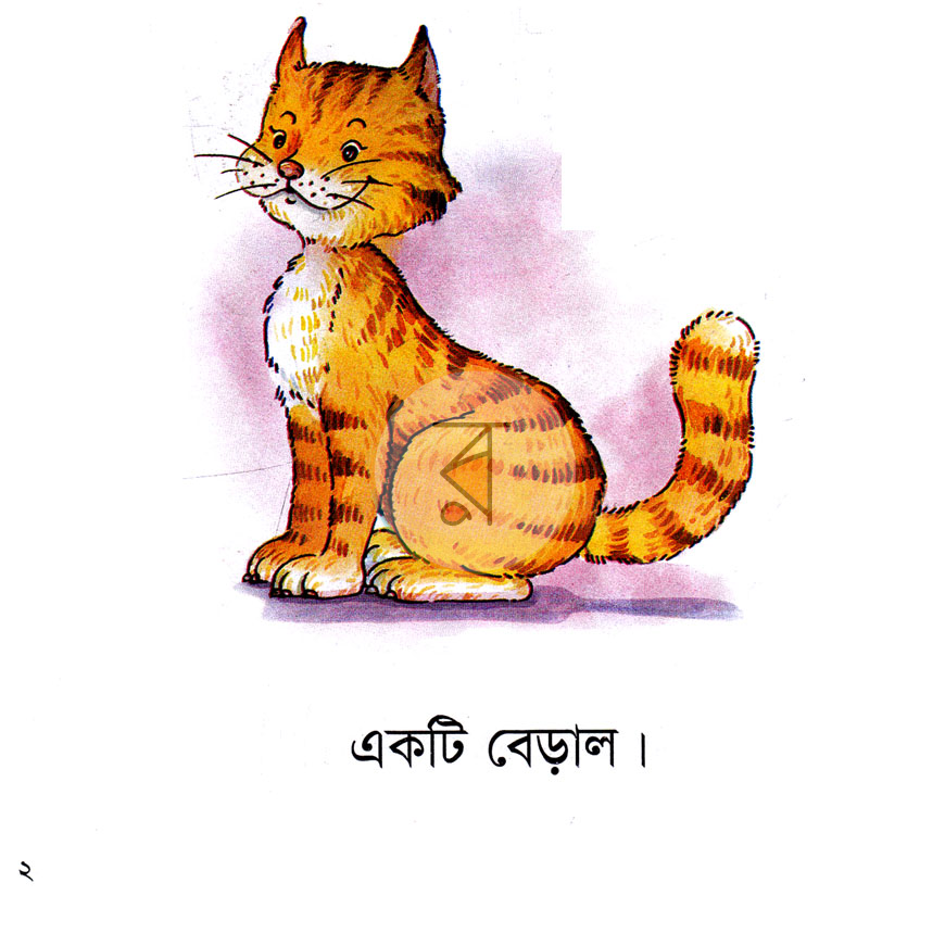 পাতা 2