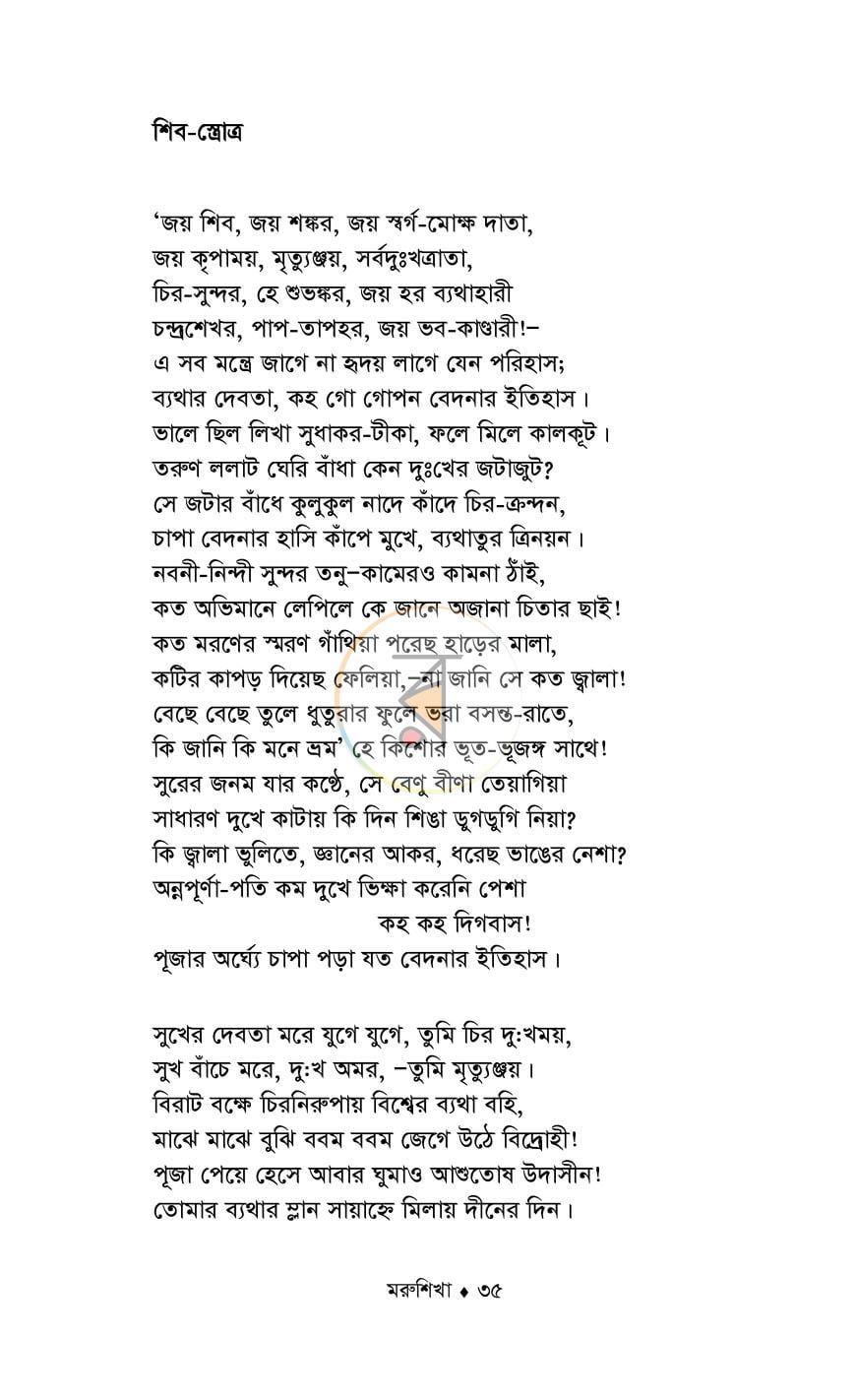 পাতা 13