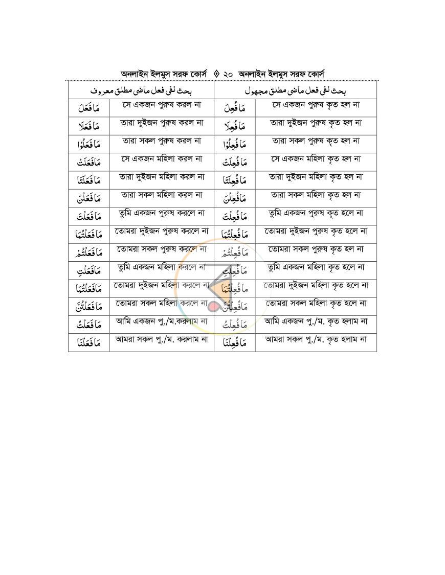 পাতা 19