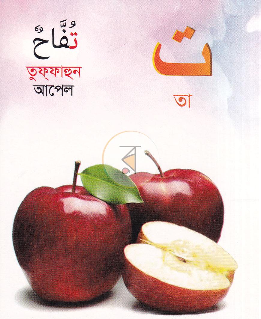পাতা 3