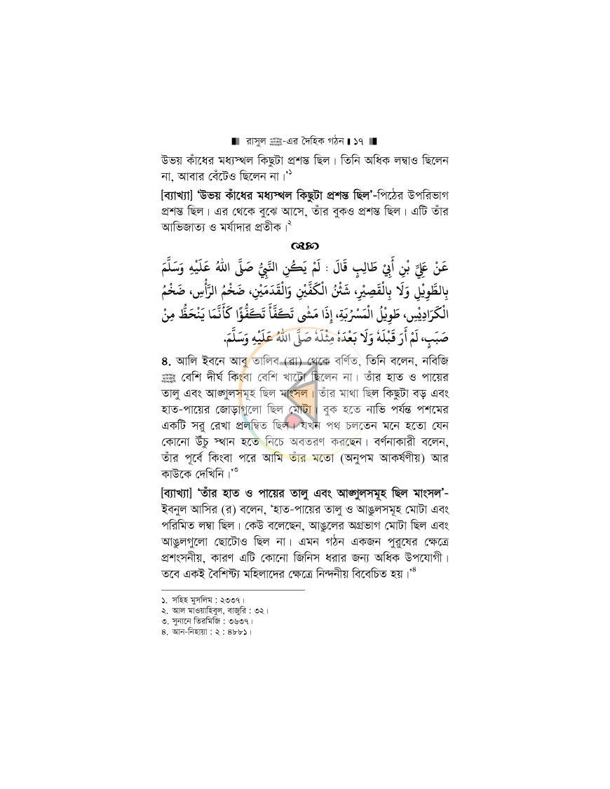 পাতা 13
