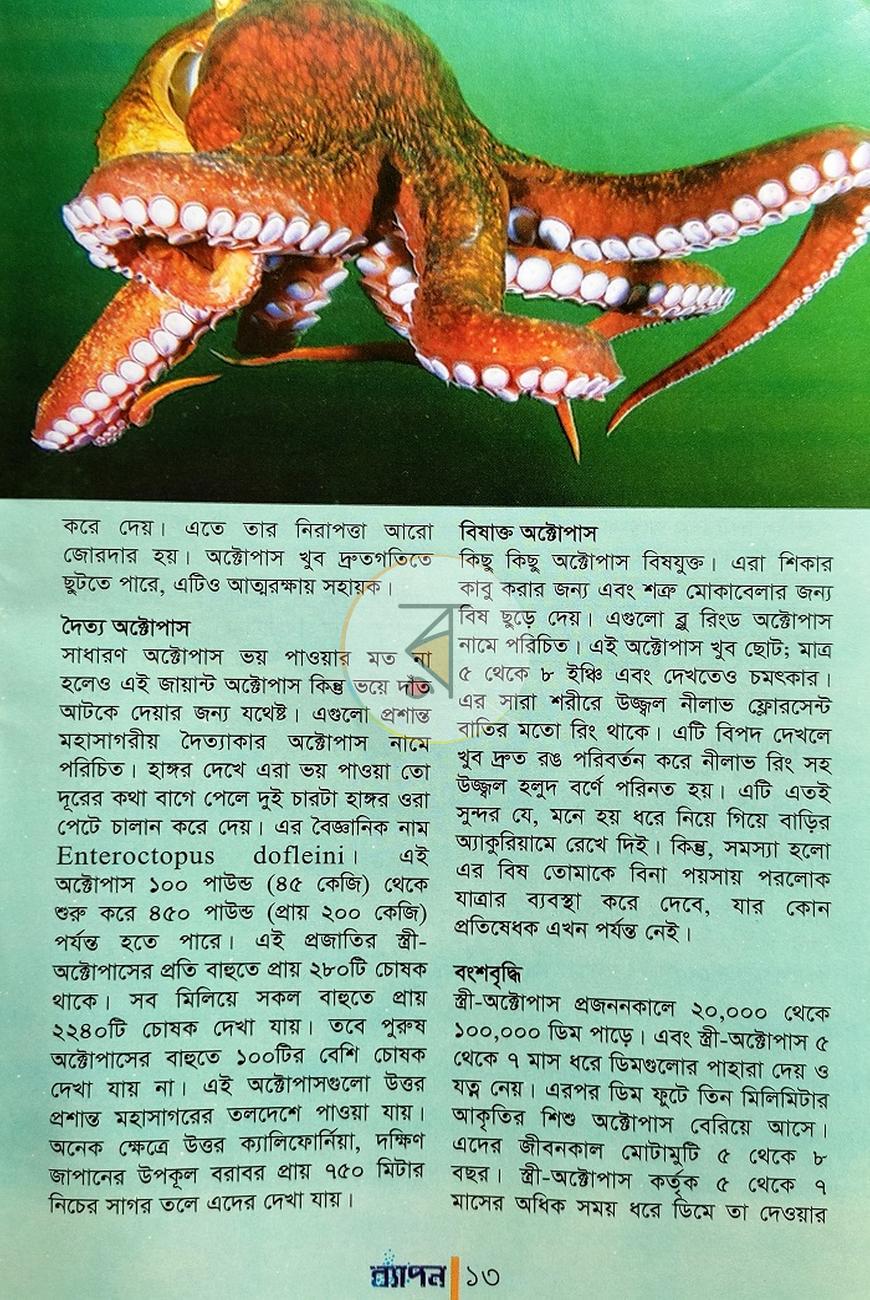 পাতা 3