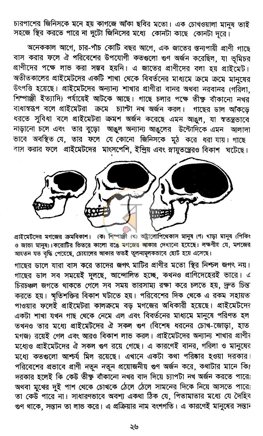 পাতা 15