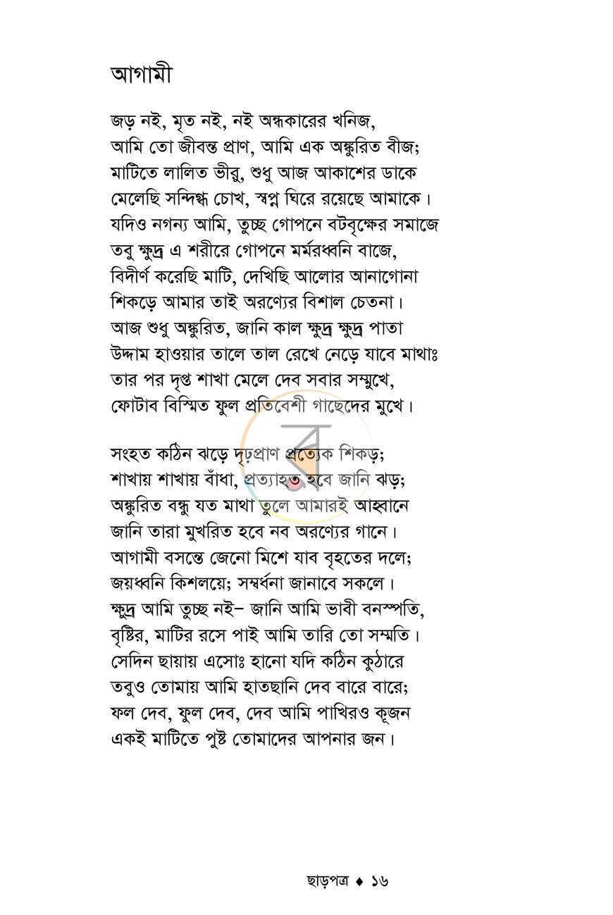পাতা 13