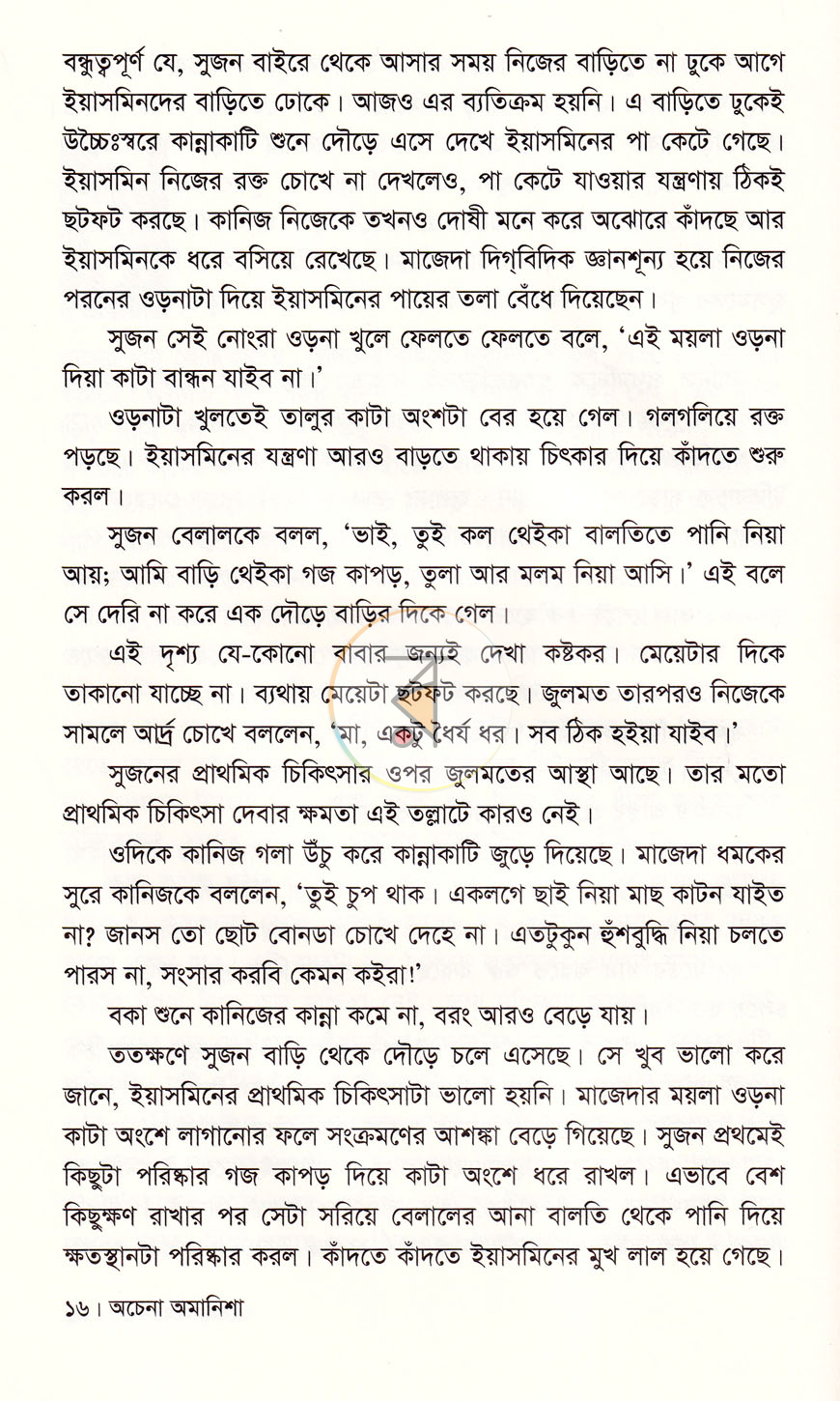 পাতা 12