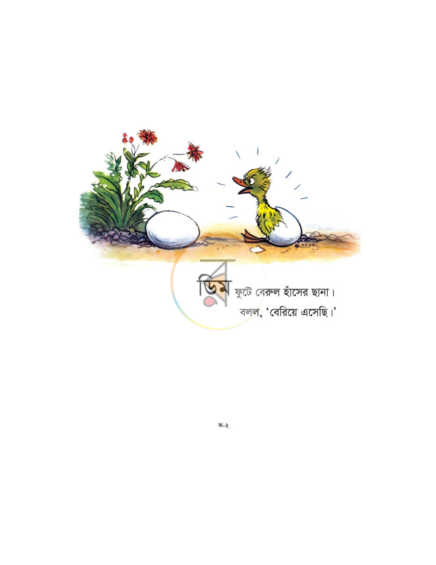পাতা 5