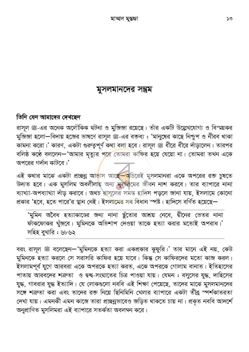 পাতা 13