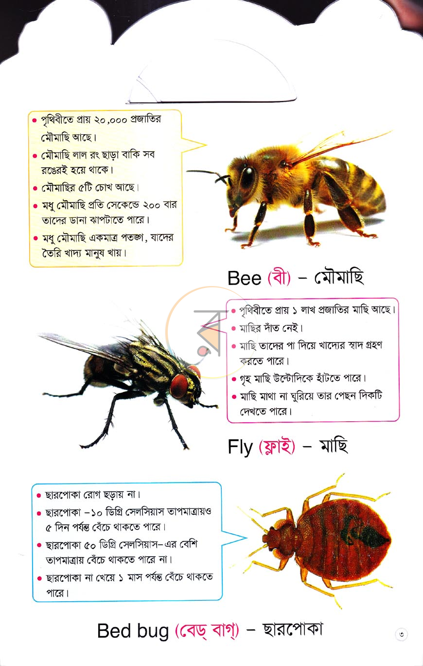 পাতা 2