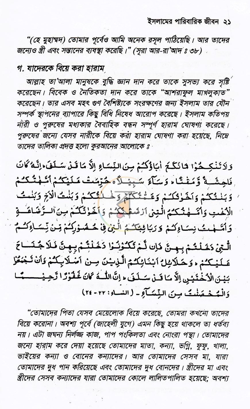 পাতা 13