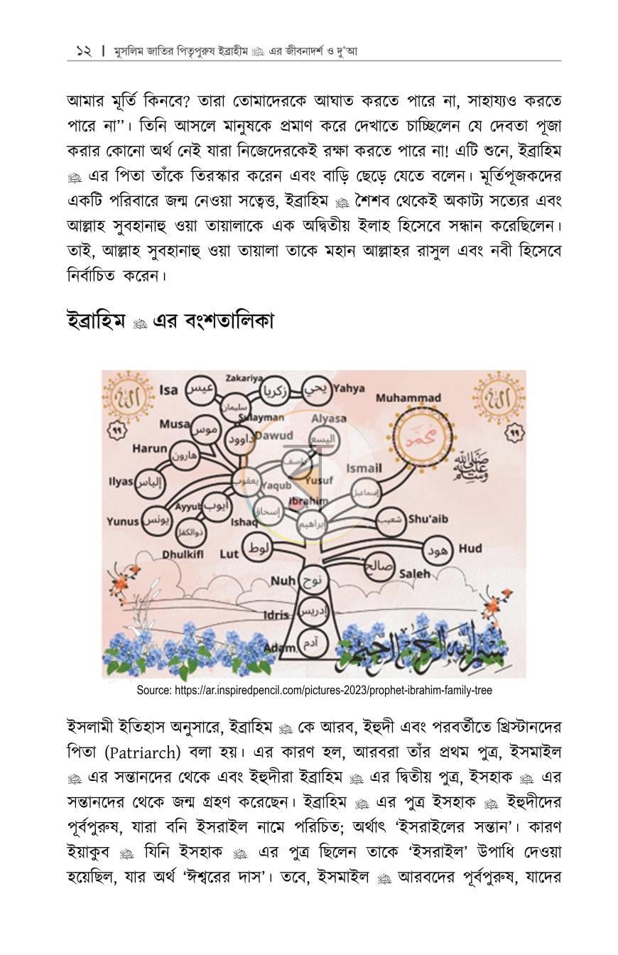 পাতা 11
