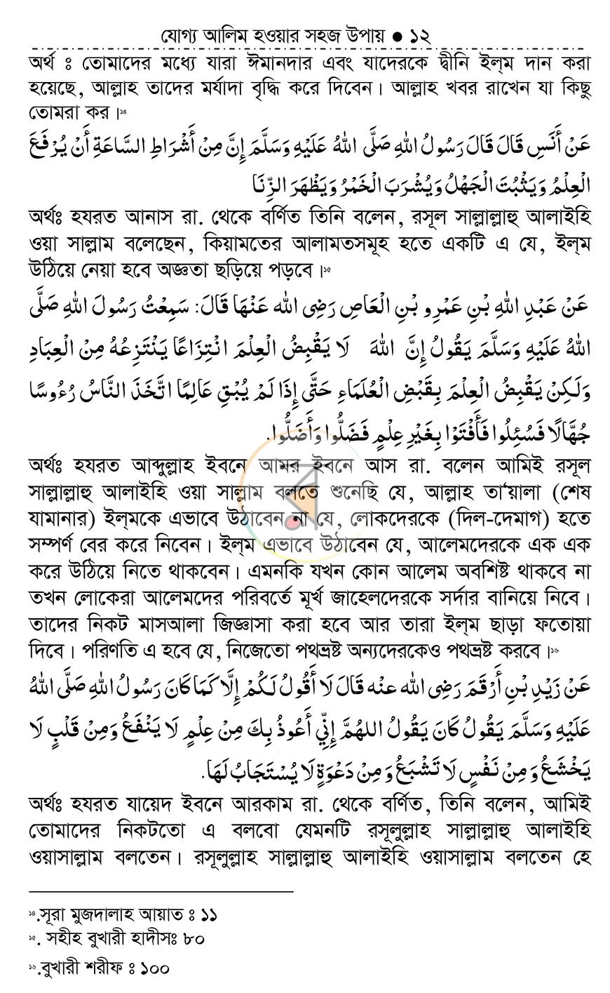 পাতা 11