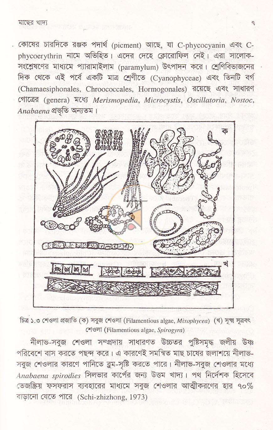 পাতা 11
