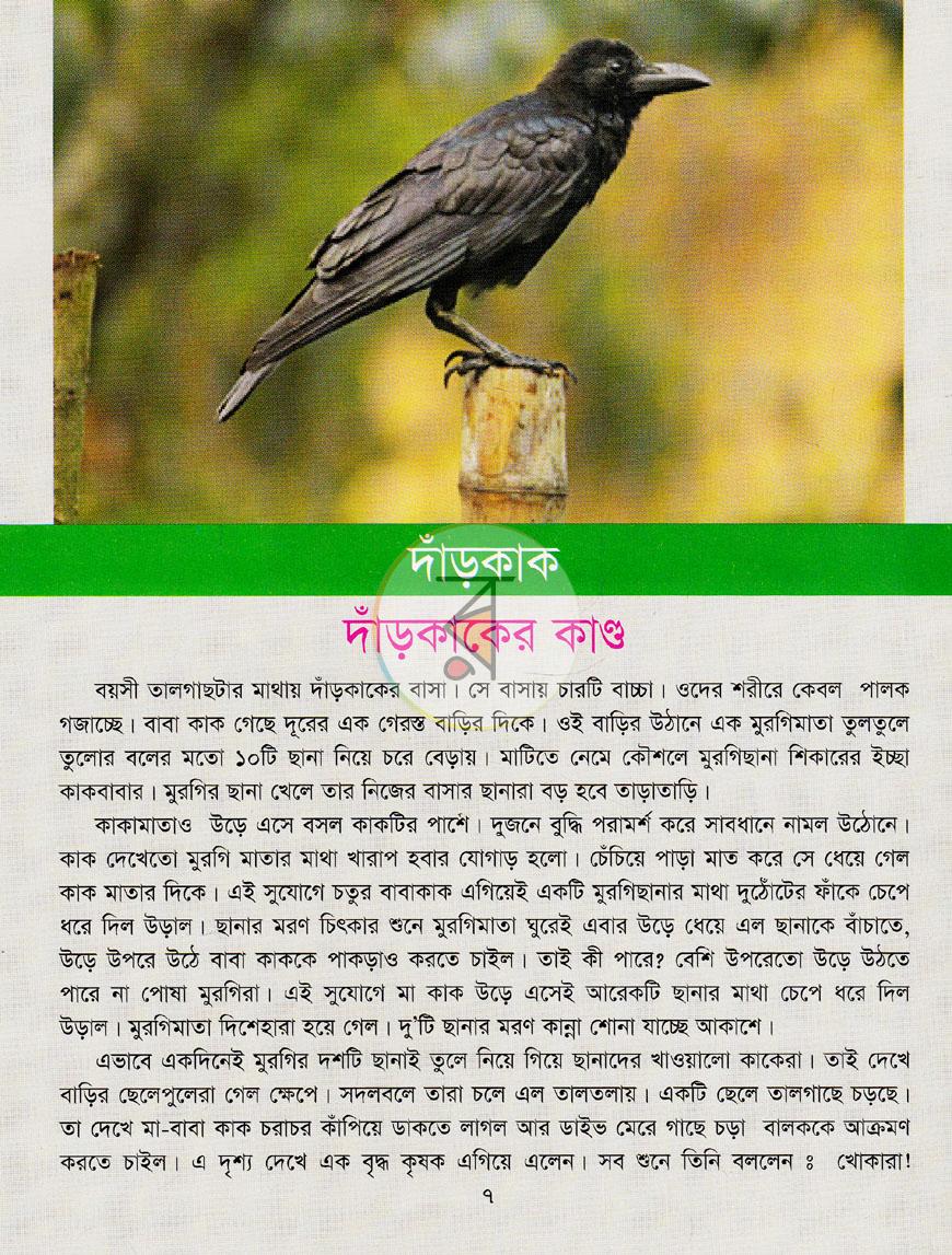 পাতা 6