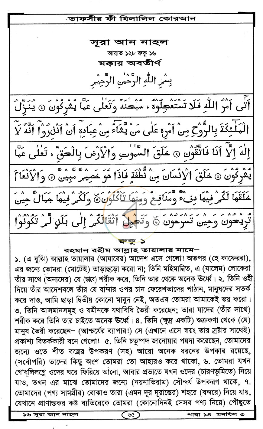 পাতা 10