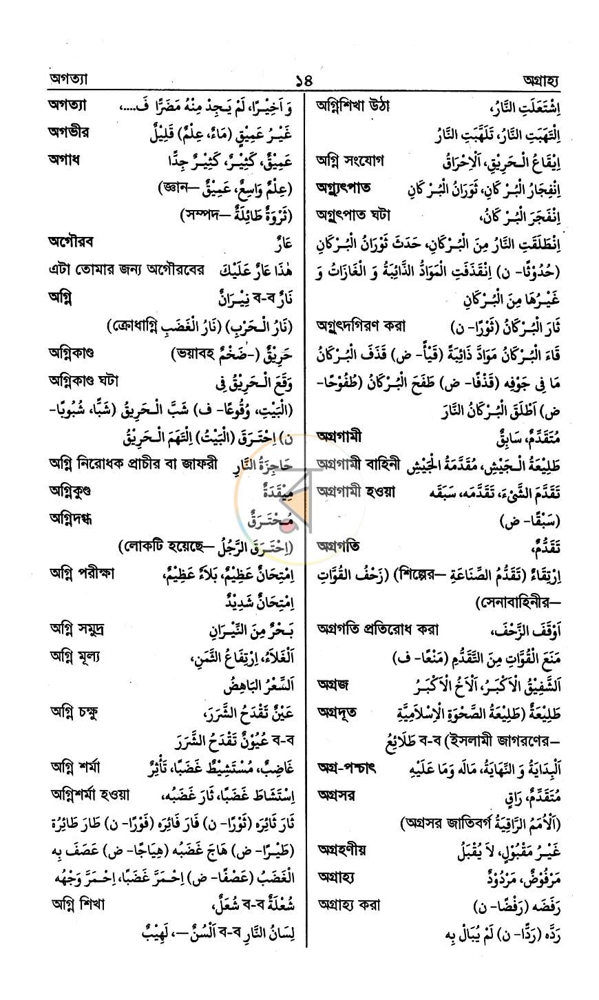 পাতা 8