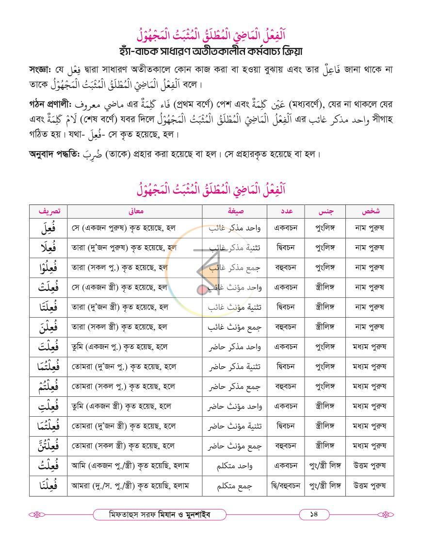 পাতা 13