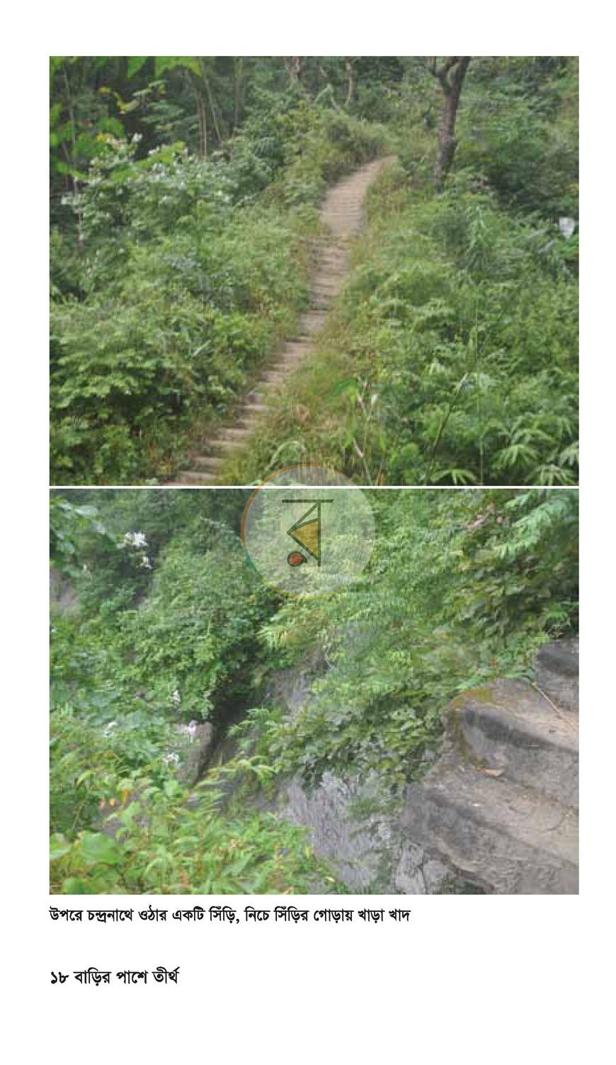 পাতা 13