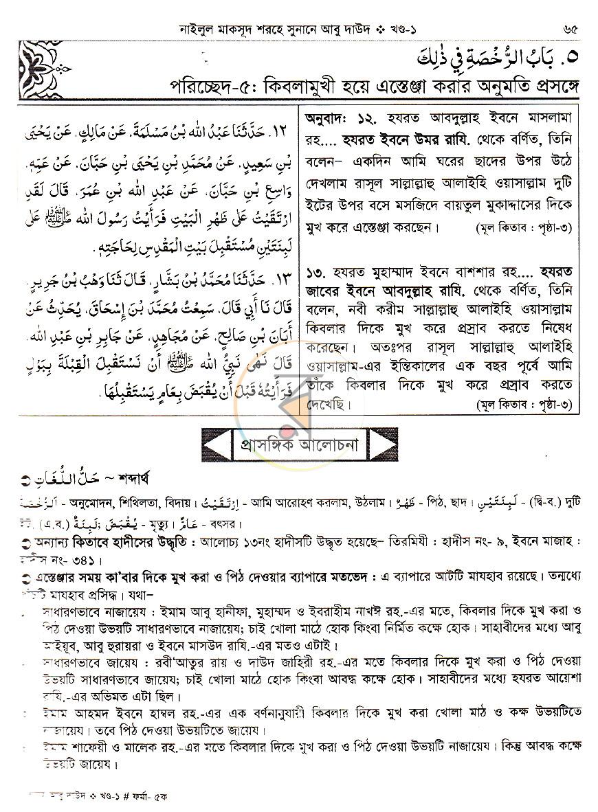 পাতা 19